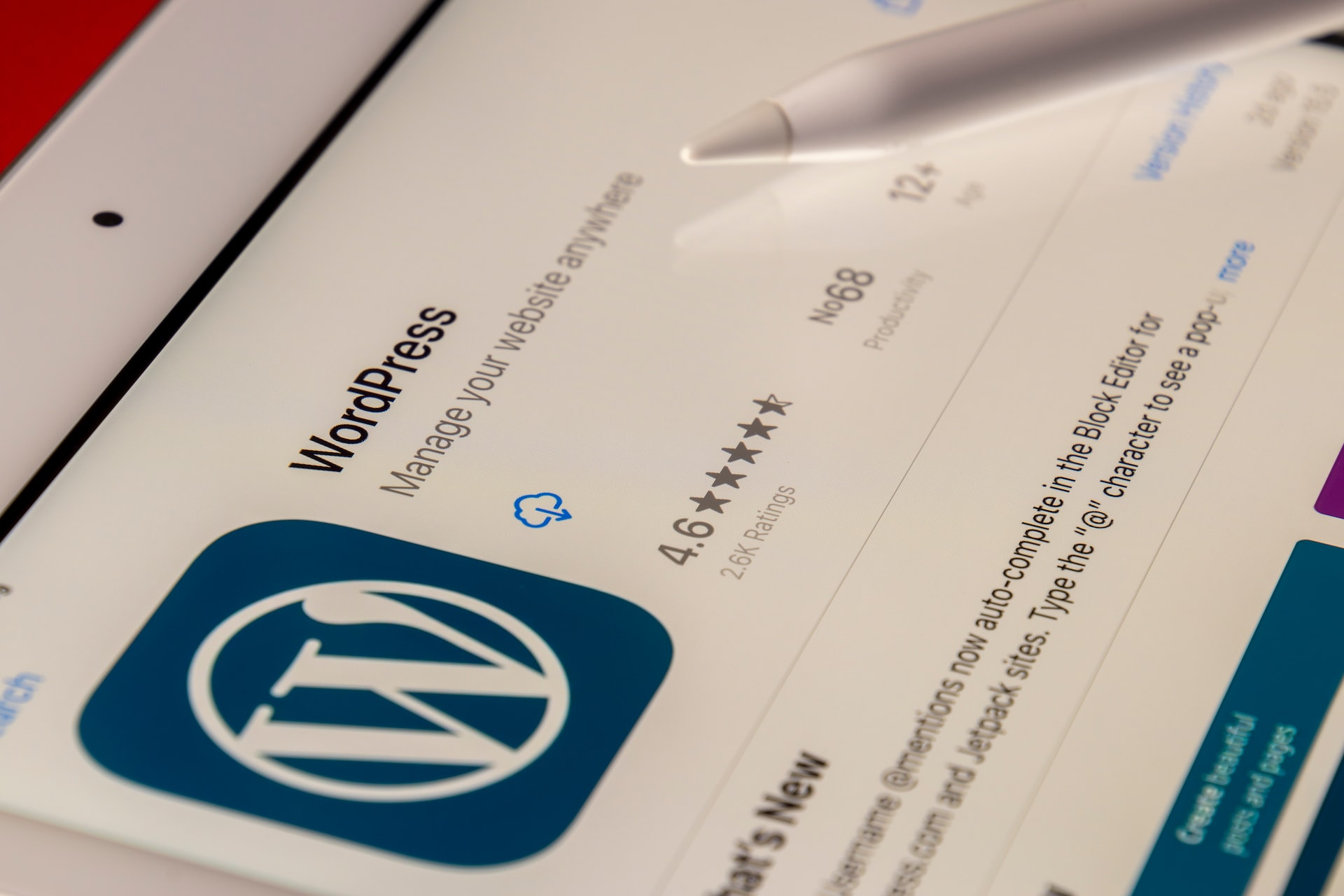 How to choose WordPress plugins for better website security | Storm Internet